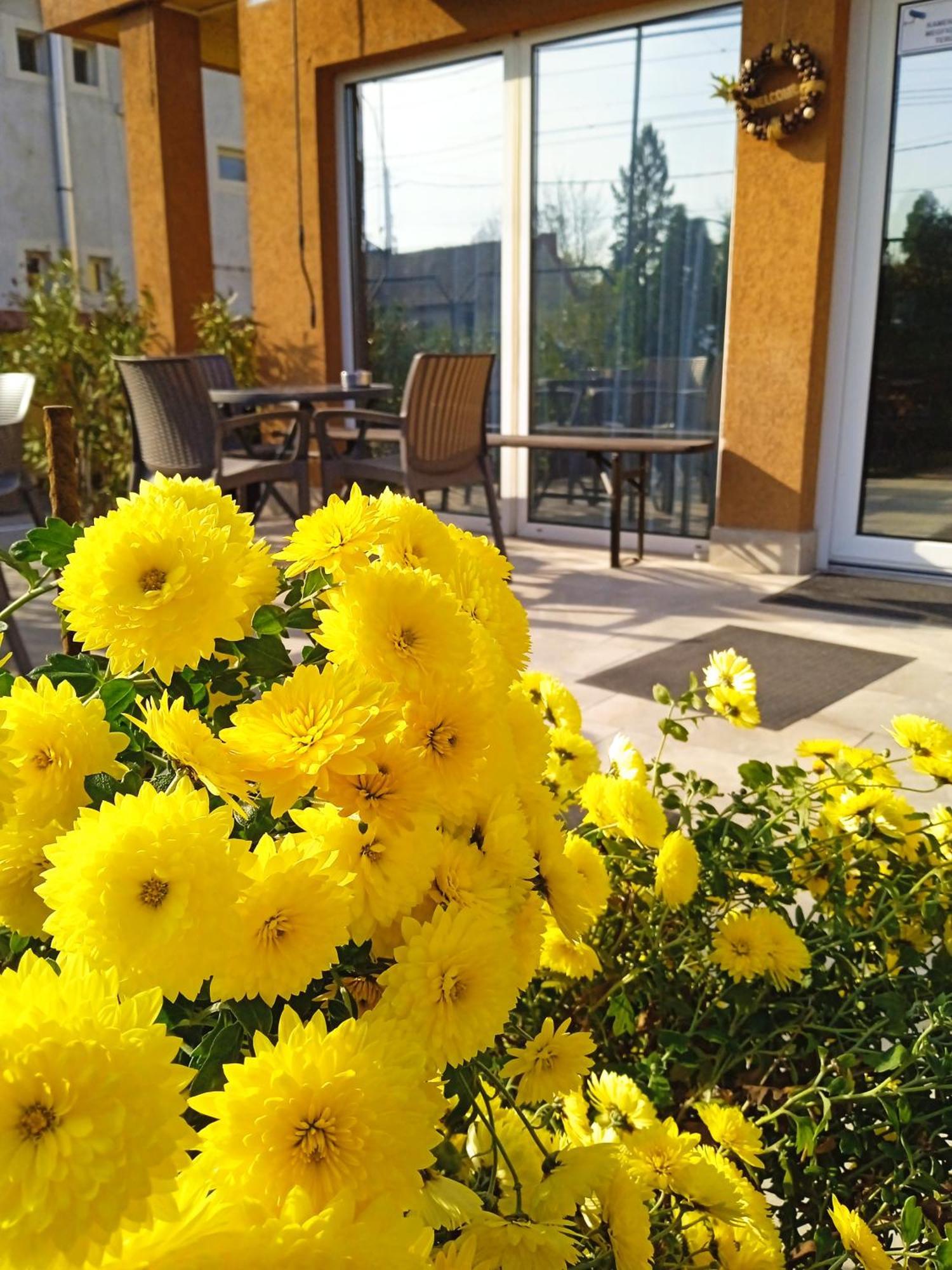 Bed and Breakfast Alfred Panzio Budapest Exterior foto